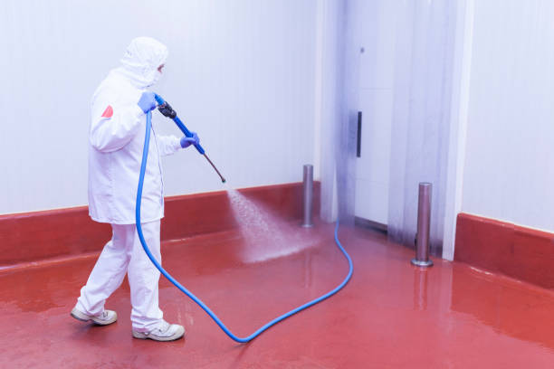 Best House Exterior Washing  in Portage Lakes, OH